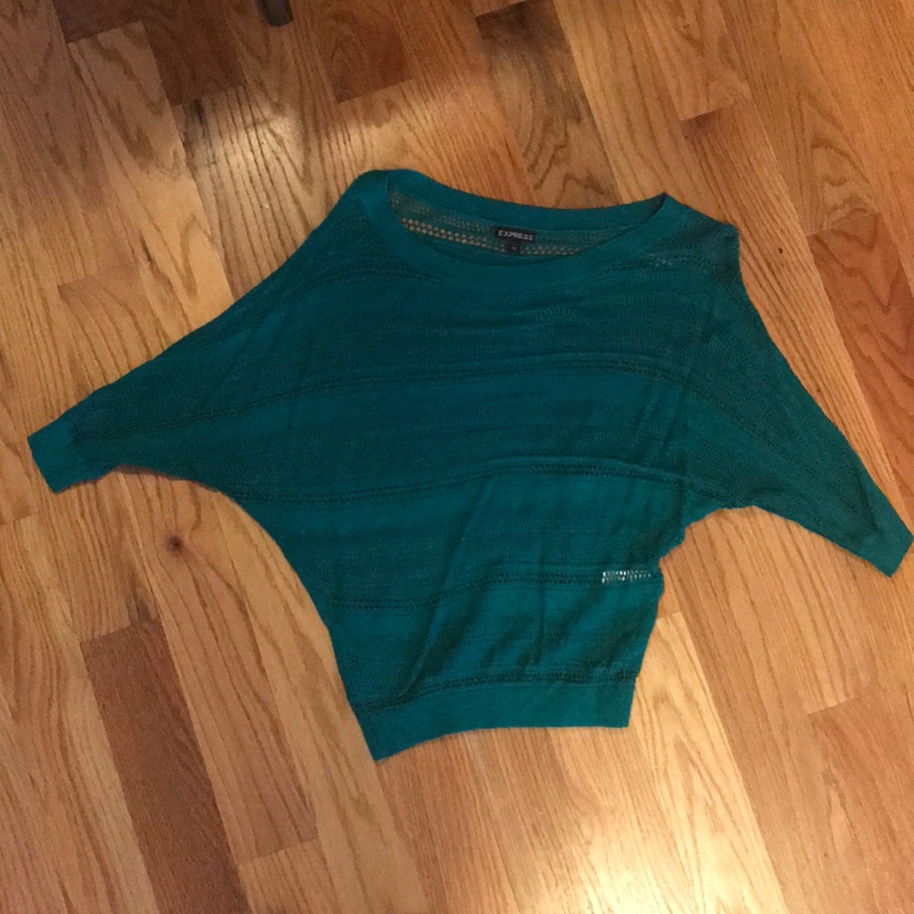 Express Batwing Sweater